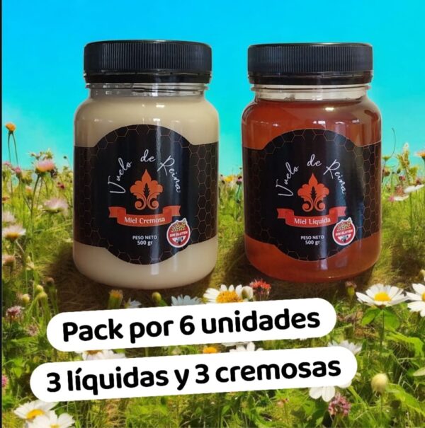 Pack x 6: Miel liquida 500 gr.